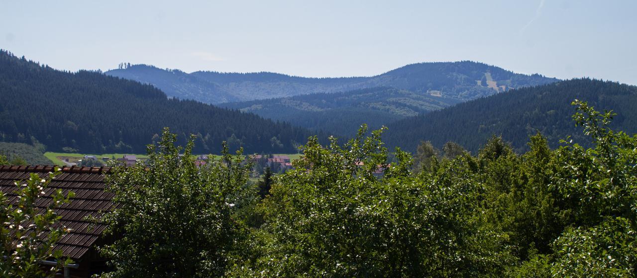 Na Valassku Chalet *